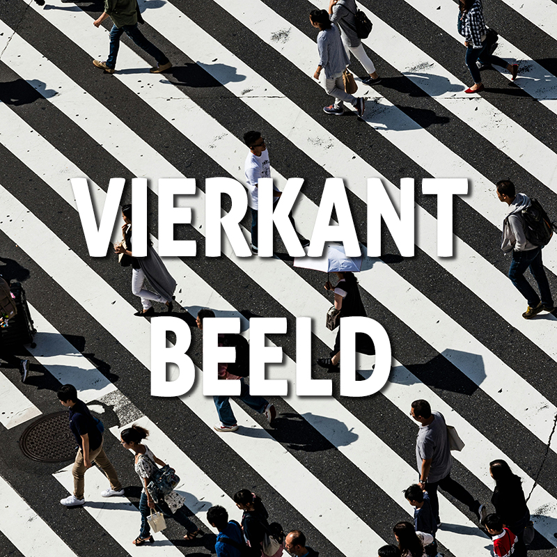 vierkant-beeld
